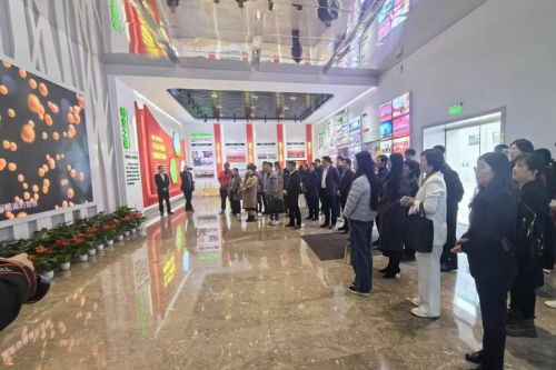 图片10 (2) 图片10 (2)