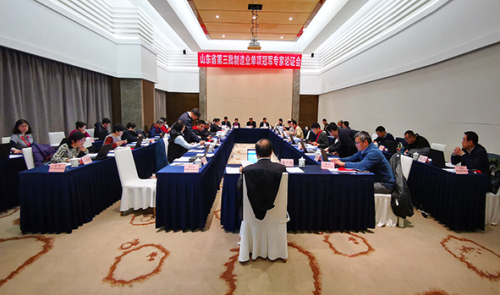 山东省第三批制造业单项冠军专家论证会在京召开
